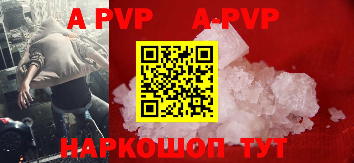 Alfa_PVP СК Ленинск-Кузнецкий