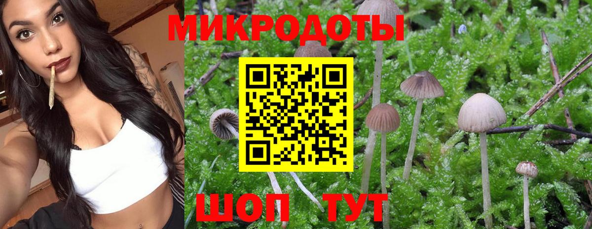 Галлюциногенные грибы мухоморы  Псилоцибиновые грибы MAGIC MUSHROOMS  Вход с VPN  Ленинск-Кузнецкий 