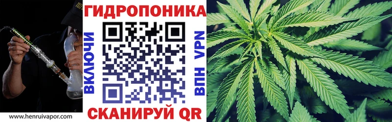 Бошки Шишки THC 21%  даркнет сайт  ОМГ ОМГ зеркало  Ленинск-Кузнецкий 